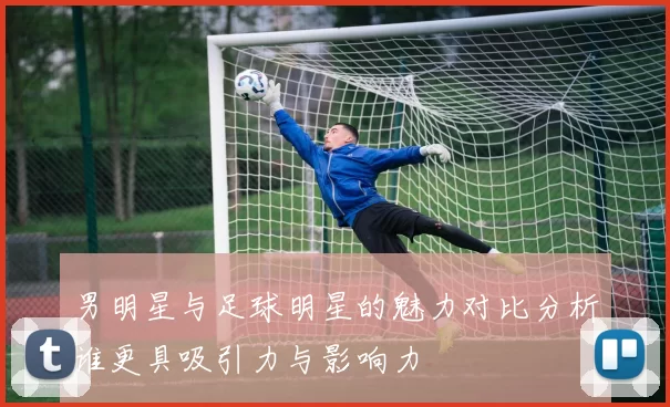 男明星与足球明星的魅力对比分析谁更具吸引力与影响力