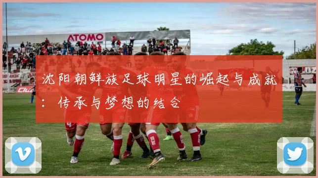 沈阳朝鲜族足球明星的崛起与成就：传承与梦想的结合
