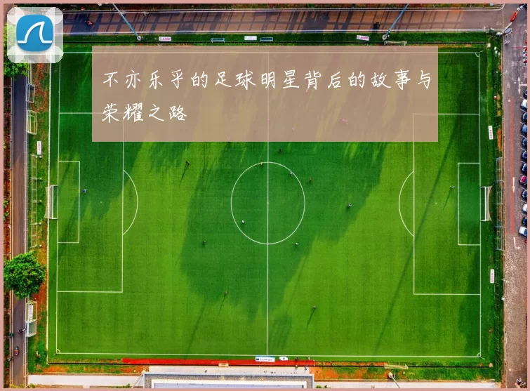 不亦乐乎的足球明星背后的故事与荣耀之路