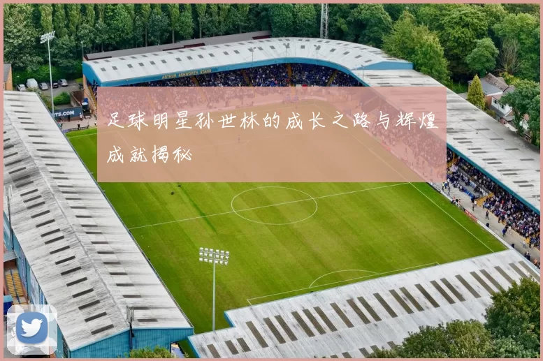 足球明星孙世林的成长之路与辉煌成就揭秘