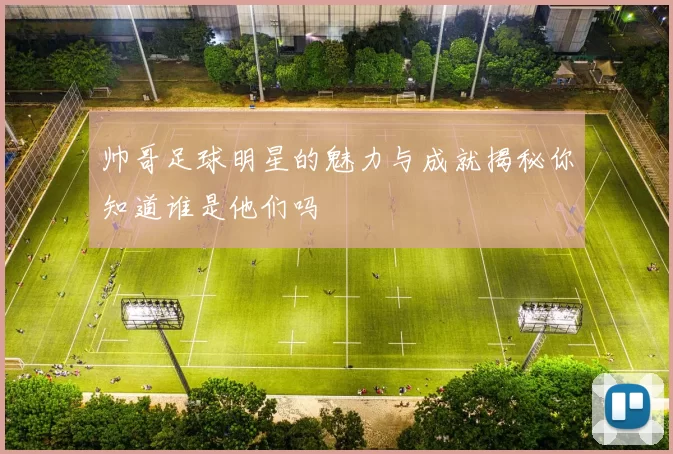 帅哥足球明星的魅力与成就揭秘你知道谁是他们吗