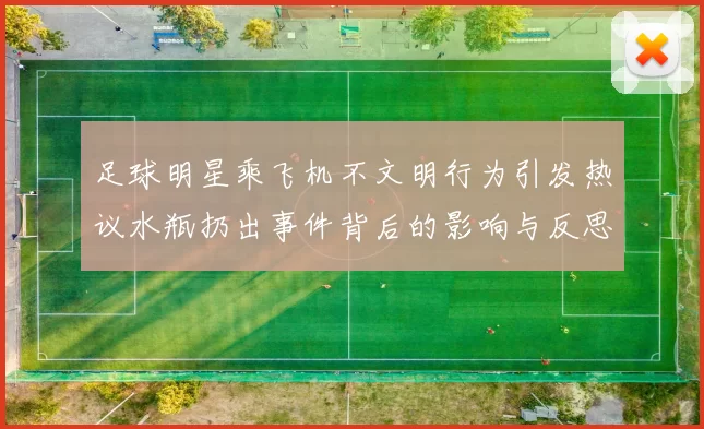 足球明星乘飞机不文明行为引发热议水瓶扔出事件背后的影响与反思