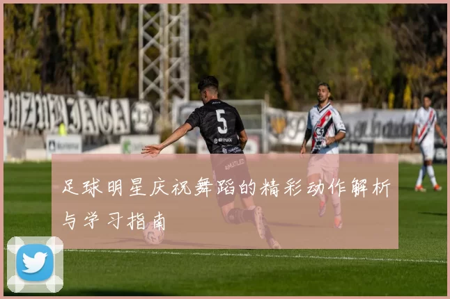 足球明星庆祝舞蹈的精彩动作解析与学习指南