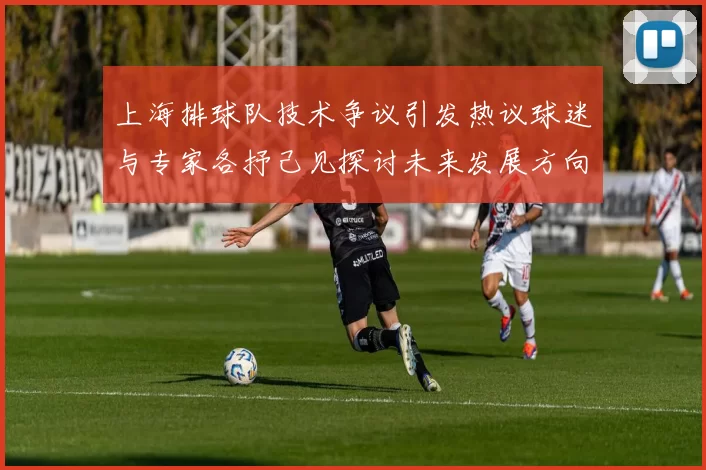 上海排球队技术争议引发热议球迷与专家各抒己见探讨未来发展方向