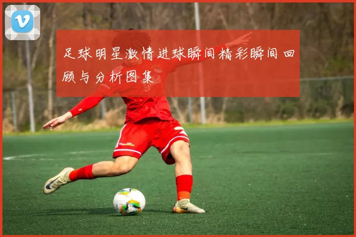 足球明星激情进球瞬间精彩瞬间回顾与分析图集