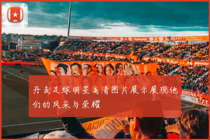 丹麦足球明星高清图片展示展现他们的风采与荣耀