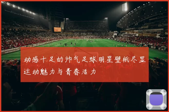 动感十足的帅气足球明星壁纸尽显运动魅力与青春活力