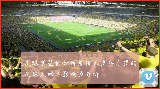 足球明星们如何看待大罗和小罗的足球天赋与影响力分析