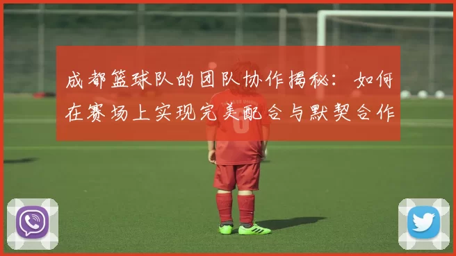 成都篮球队的团队协作揭秘：如何在赛场上实现完美配合与默契合作