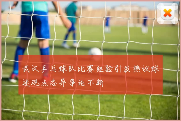 武汉乒乓球队比赛经验引发热议球迷观点各异争论不断