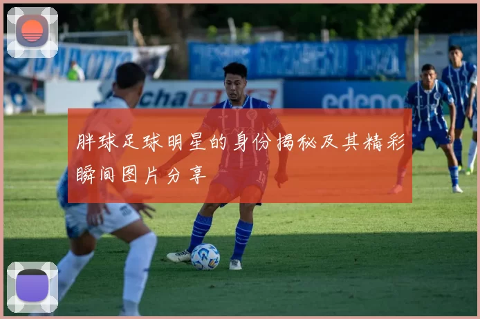 胖球足球明星的身份揭秘及其精彩瞬间图片分享