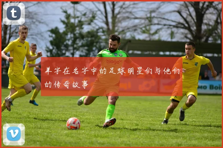 羊字在名字中的足球明星们与他们的传奇故事