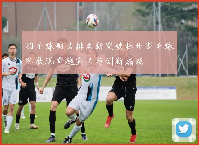 羽毛球耐力排名新突破杭州羽毛球队展现卓越实力与创新成就